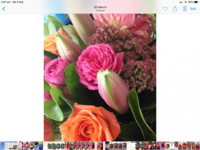 Pink and orange - a seasonal selection of pink and orange flowers arranged in a bouquet or container when requested.