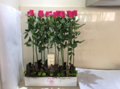 Modern Love - A Modern Contemporary style arrangement of long stem roses- your choice of colour accompanied with a bottle of Moët .