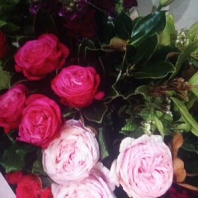 KENSINGTON  - Quality selection of beautiful flowers in shades of pale pink to hot pink and burgundy beautifully designed and presented in a bouquet.