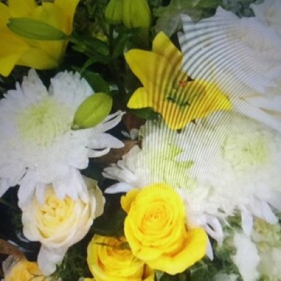 Burst of sunshine  - A quality selection of beautiful seasonal flowers in shades of yellow tones, green and cream.